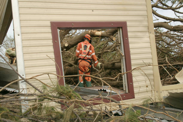 How Our Tree Care Process Works  in  Woodcrest, CA